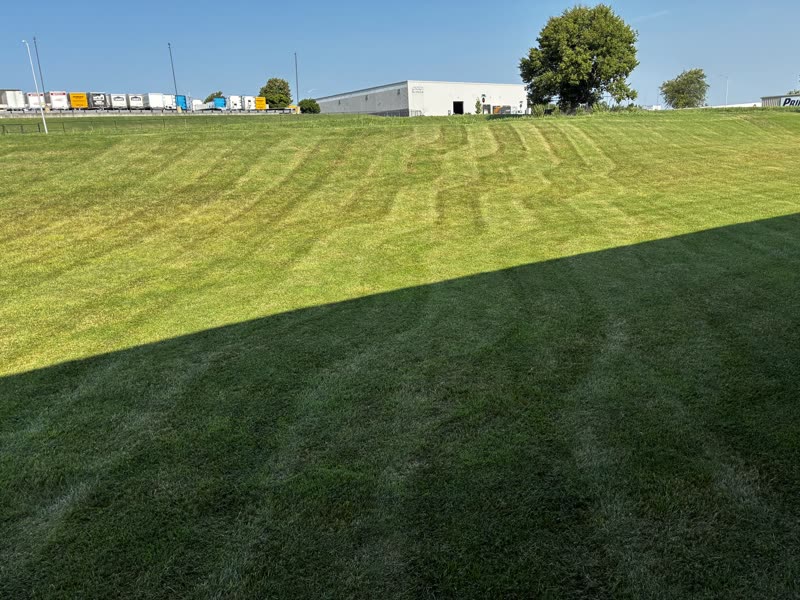 Large sloped commercial lawn below a warehouse and freight trailers.